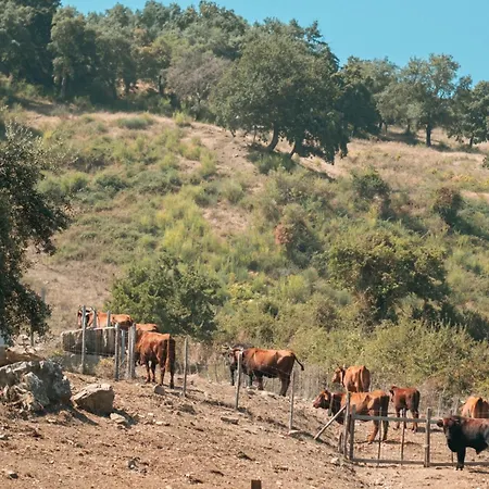 Azienda Agricola Bonta Della Terra Caronia